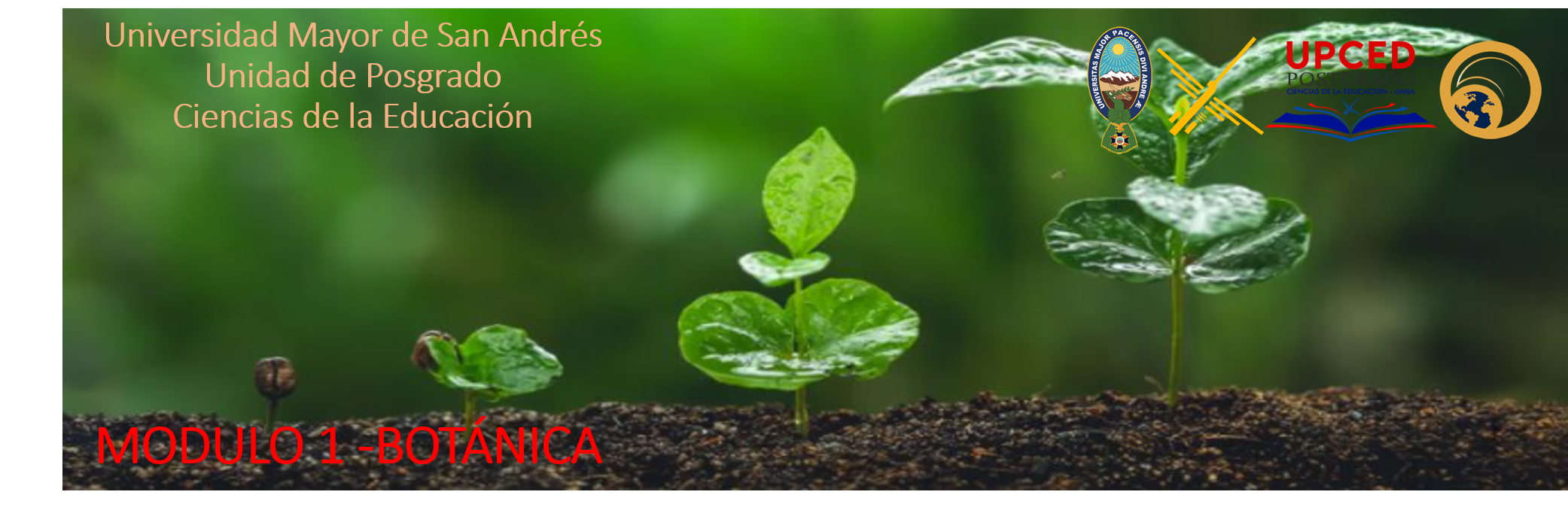 MODULO 1 , INTRODUCCION BOTANICA